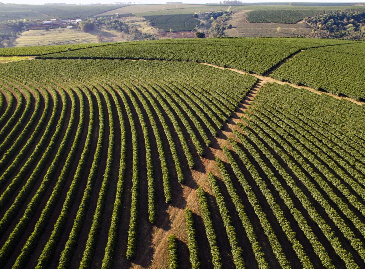 Coffee highs – The Sloman Economics News Site